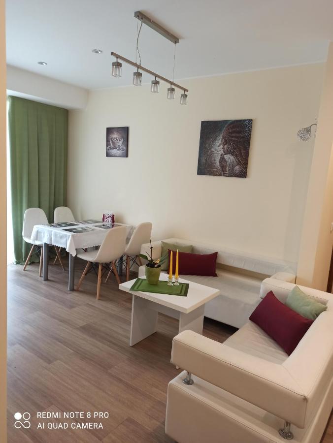 Nelli Apartamentai Druskininkai Buitenkant foto